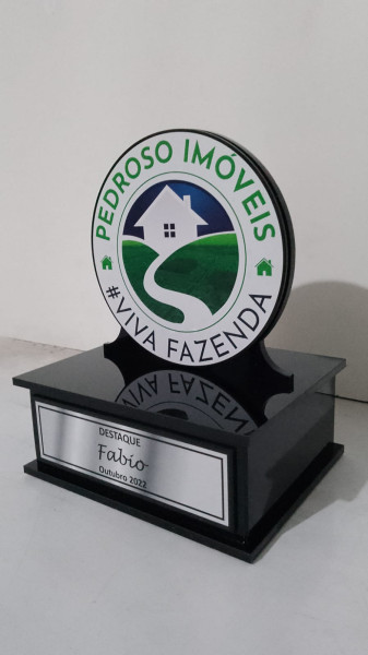 Troféus De Acrílico Personalizados